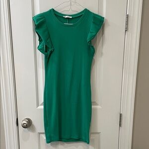 Zara Green Ruffle Sleeve Mini Dress